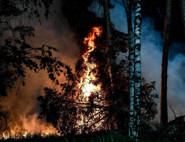 Cambio climático dispara el número de muertes por el humo generado por los incendios