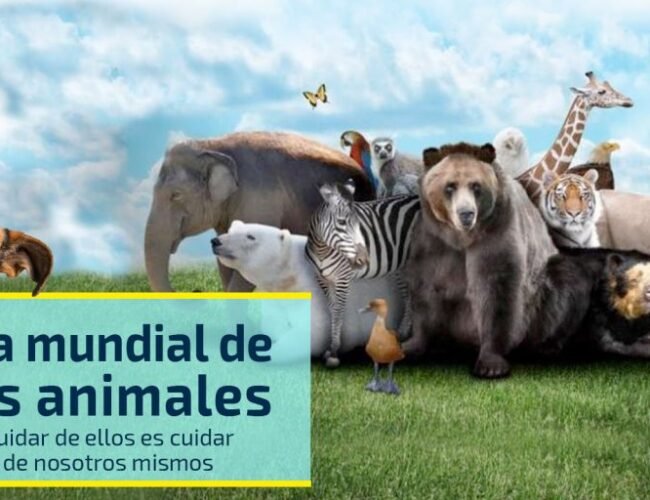 Efemérides 4 de Octubre: Día Mundial de los Animales