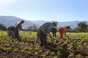 Estudio revela el impacto económico y social en las comunidades rurales de Venezuela