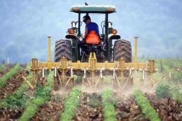 Producción agrícola nacional cubrió el 57 % de la demanda interna