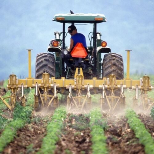 Producción agrícola nacional cubrió el 57 % de la demanda interna