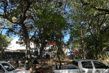Familias completas fallecieron juntas durante los dos terremotos